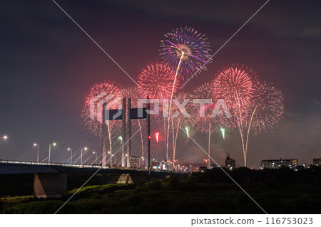 《Tokyo》Fireworks and Koremasa Bridge・TOKYO City Pop Fireworks 116753023