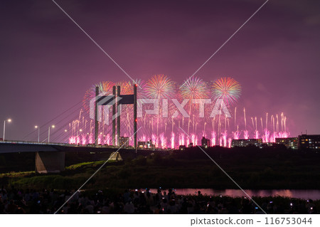 《Tokyo》Fireworks and Koremasa Bridge・TOKYO City Pop Fireworks 116753044