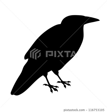 Bird Raven Crow Black Silhouette for Icon. 116753105