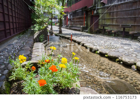 [郡上八幡] 谷中水小徑 116753173