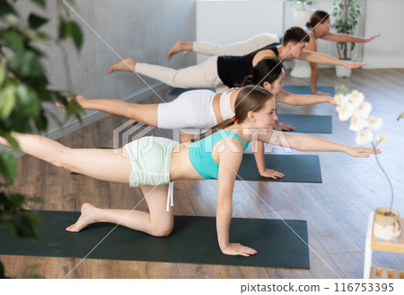 Young man and women yoga showing others plank pose in gym Young man and women yoga showing others plank pose in gym 116753395