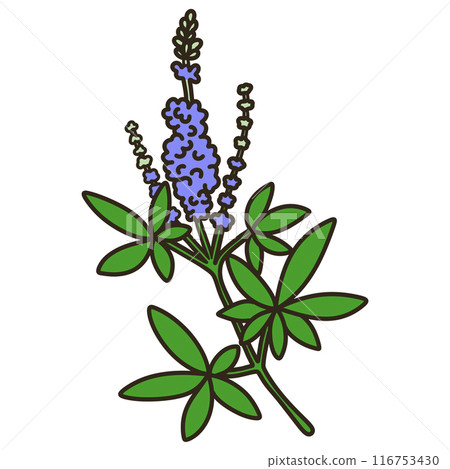 Carrot carrot 116753430