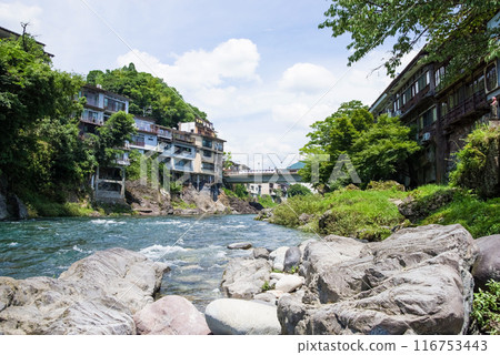 [郡上八幡] 從吉田川眺望郡上八幡的街景 116753443