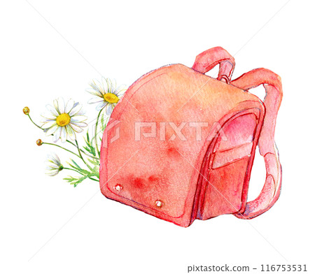 紅色書包和瑪格麗特水彩插圖 116753531
