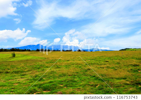 View from Utsukushigahara Plateau 116753743