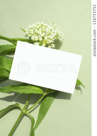 Flowers and business card mock-up, frame 116753752