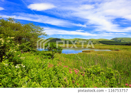 Aozora and Hachijigahara Marsh Aozora and Hachijigahara Marsh 116753757