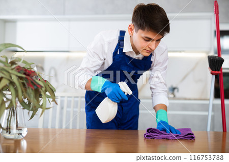 Professional cleaner cleans and dusts the furniture in room 116753788