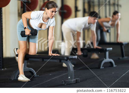 Athletic young woman pumping her biceps with a dumbbell while leaning on bench 116753822