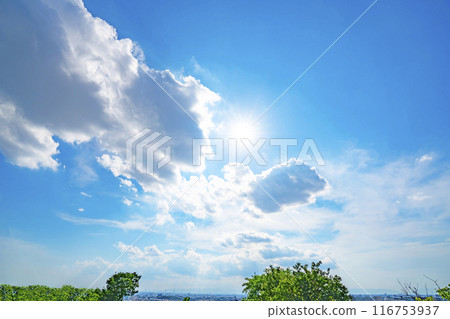 夏天的雲、樹木和陽光 夏天的雲、樹木和陽光 116753937