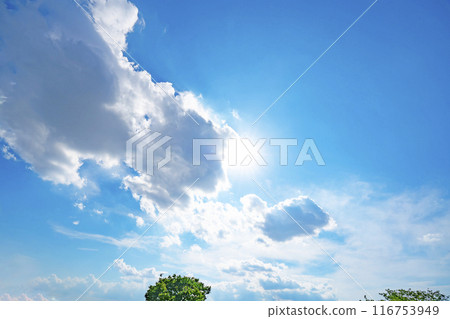 夏天的雲、樹木和陽光 116753949