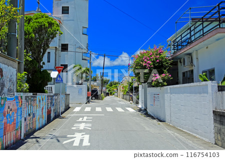 Okinawa Kerama Islands Tokashiki Island Scenery Aharen Village Okinawa Kerama Islands Tokashiki Island Scenery Aharen Village 116754103
