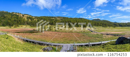 A panoramic view of Ikenodaira Wetland in autumn, shrouded in silence against a blue sky. 116754253