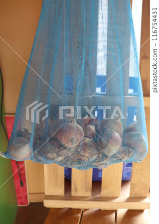 Onions drying in the shed 116754431