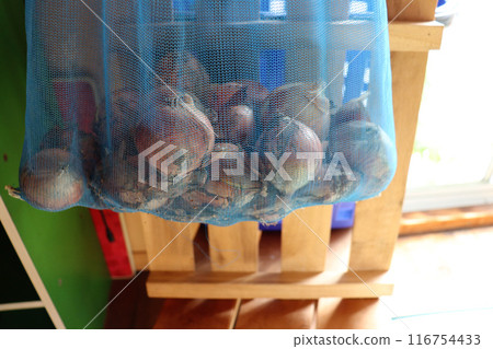 洋蔥在棚子裡曬乾 洋蔥在棚子裡曬乾 116754433