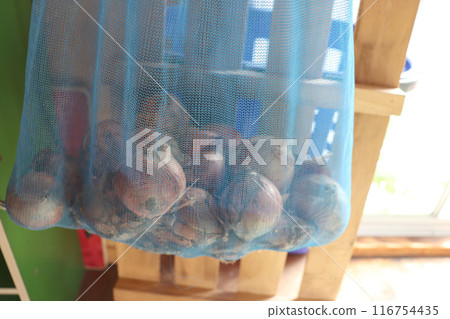 洋蔥在棚子裡曬乾 洋蔥在棚子裡曬乾 116754435