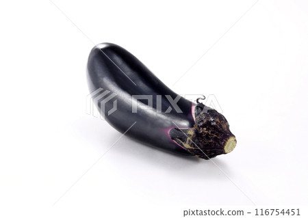 白色背景上的新鮮茄子 白色背景上的新鮮茄子 116754451