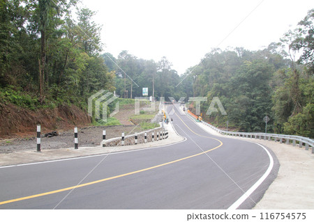 Pusuk Forest Highway, Sembalun tourist spot, East Lombok Pusuk Forest Highway, Sembalun tourist spot, East Lombok 116754575