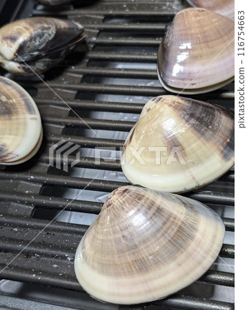 Grilling fresh clams 116754663