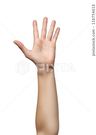 Female hand showing five fingers isolated on white background Female hand showing five fingers isolated on white background 116754818