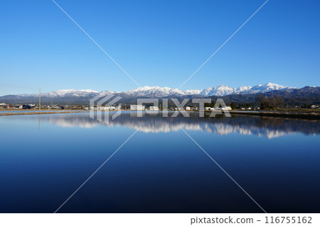 從富山縣立山町看到的立山連峰倒映在稻田裡 116755162