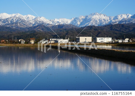 The Tateyama mountain range reflected in rice paddies as seen from Tateyama Town, Toyama Prefecture The Tateyama mountain range reflected in rice paddies as seen from Tateyama Town, Toyama Prefecture 116755164