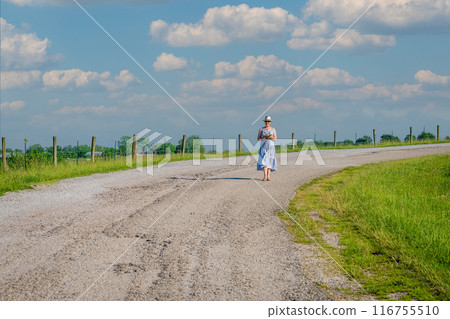 Purple People Bridge 116755510