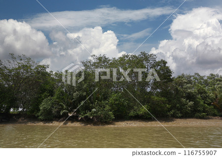 Landscape around the Pang Pakong River, with rocks, trees on the shore. 116755907