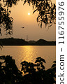 beautiful sunset on the lagoon with trees in the foreground.Beautiful colorful summer spring natural landscape with a lake in Park. 116755976