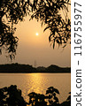 Beautiful colorful summer spring natural landscape with a lake in Park surrounded by green foliage of trees 116755977