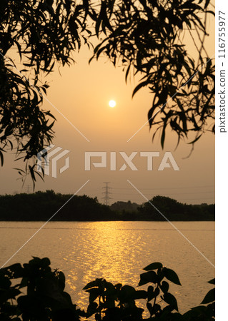 Beautiful colorful summer spring natural landscape with a lake in Park surrounded by green foliage of trees Beautiful colorful summer spring natural landscape with a lake in Park surrounded by green foliage of trees 116755977