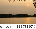 summer spring natural landscape with a lake in Park surrounded by green foliage of trees in sunlight and stone path in foreground 116755978