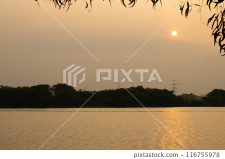 summer spring natural landscape with a lake in Park surrounded by green foliage of trees in sunlight and stone path in foreground summer spring natural landscape with a lake in Park surrounded by green foliage of trees in sunlight and stone path in foreground 116755978