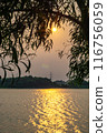 beautiful sunset on a lake in a tropical climate with a rainforest foreground 116756059