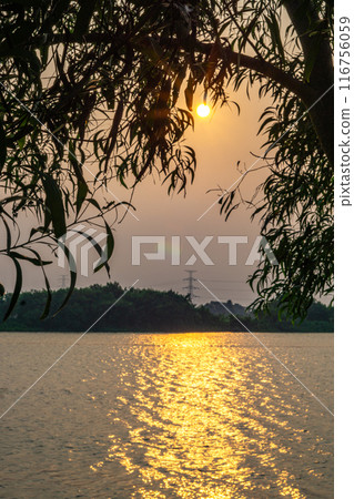 beautiful sunset on a lake in a tropical climate with a rainforest foreground beautiful sunset on a lake in a tropical climate with a rainforest foreground 116756059