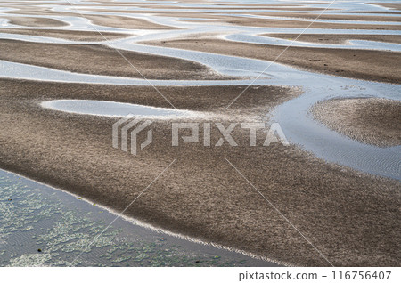 Masutama coast 116756407