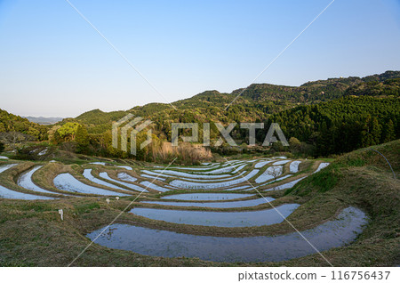 Oyama Senjita 116756437