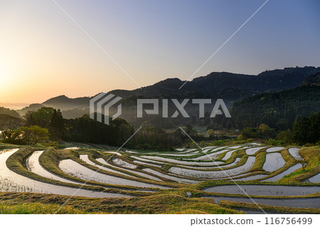 Oyama Senjita 116756499
