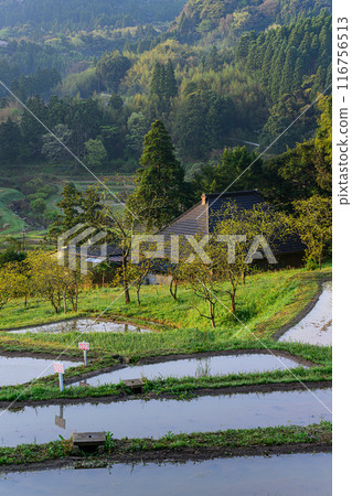 Oyama Senjita 116756513