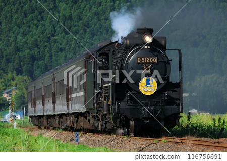 [JR西日本] D51型 + 35系「SL山口號」（山口線：船平山 - 德草） 116756691