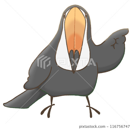 Toucan pointing to the right 116756747