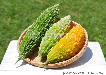 苦瓜顏色變化 116756767