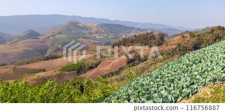 The biggest cause of forest loss is agricultural deforestation ,environmental damage in Southeast Asia , global warming and environment. 116756887