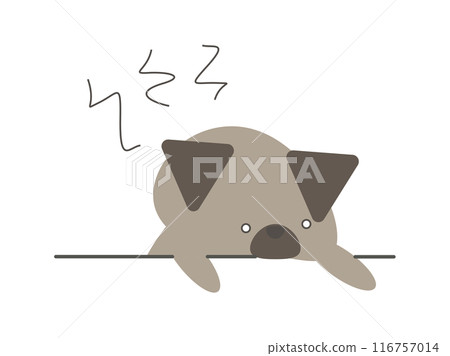 Dog with bad condition 116757014