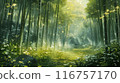 A lush green forest with a path leading through it 116757170