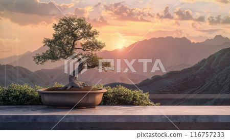 A small bonsai tree is sitting on a ledge in front of a mountain range A small bonsai tree is sitting on a ledge in front of a mountain range 116757233