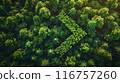 A forest with a large arrow pointing to the right 116757260