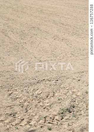 Field soil 116757288