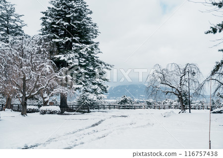 Snow landscape of Mount Iwaki from Hirosaki Castle in winter, Japanese castle located in Hirosaki city, Aomori Prefecture, Tohoku, Japan. Landmark for tourist attraction. Japan travel and vacation 116757438