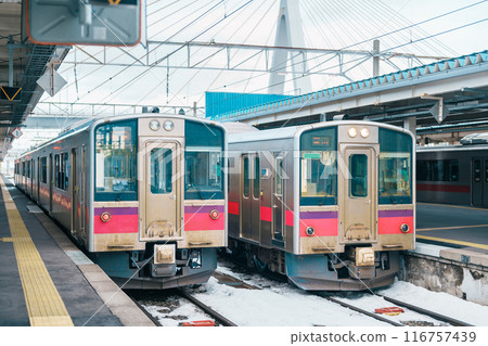 Pink local train in winter at Aomori railway station platform,  in the city of Aomori in Aomori Prefecture, Japan. 116757439